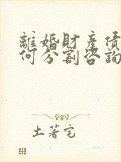 离婚财产债务如何分割咨询律师