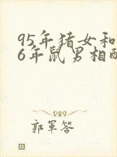 95年猪女和96年鼠男相配婚姻如何