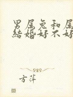 男属兔和属龙女结婚好不好