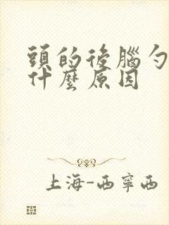 头的后脑勺痛是什么原因封面