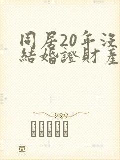 同居20年没领结婚证财产怎么分