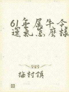 61年属牛今年运气怎么样