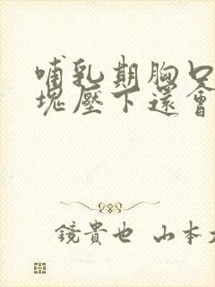 哺乳期胸口有硬块压下还会痛