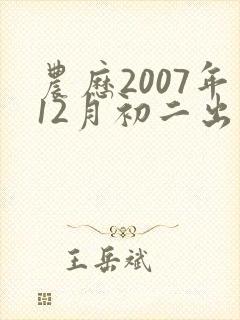 农历2007年12月初二出生命运