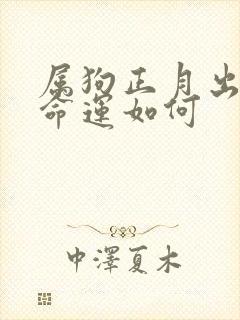 属狗正月出生的命运如何