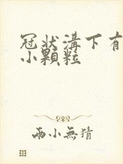 冠状沟下有一圈小颗粒封面