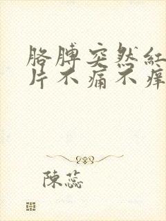 胳膊突然红了一片不痛不痒