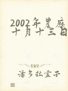 2002年农历十月十三日出生的男孩的命运
