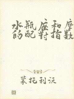 水瓶座和摩羯座的配对指数是多少