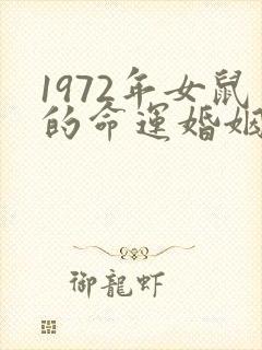1972年女鼠的命运婚姻