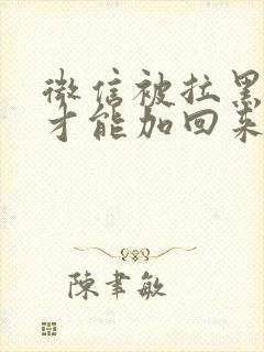 微信被拉黑怎么才能加回来