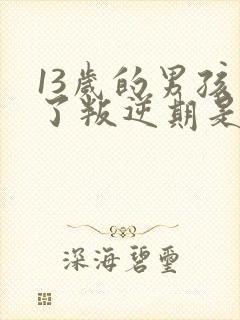 13岁的男孩到了叛逆期是怎么教