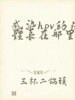 感染hpv的疣体长在哪里