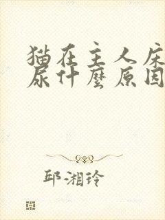 猫在主人床上拉尿什么原因