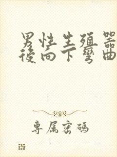 男性生殖器勃起后向下弯曲