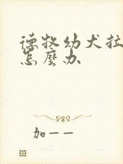 德牧幼犬拉肚子怎么办