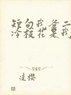 短句我爸二婚高冷校花是我妹