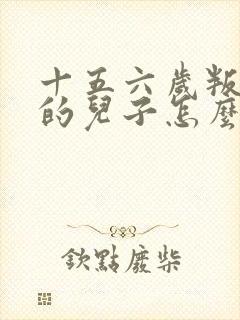 十五六岁叛逆期的儿子怎么教