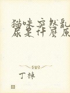 猫咪突然乱拉乱尿是什么原因引起的