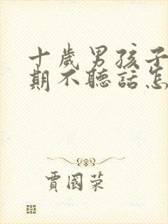 十岁男孩子叛逆期不听话怎么办封面