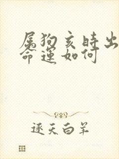 属狗亥时出生的命运如何