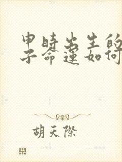 申时出生的男孩子命运如何封面