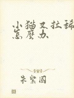 小猫又拉稀又吐怎么办