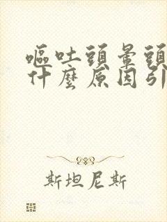 呕吐头晕头疼是什么原因引起的