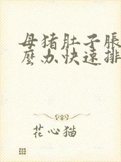 母猪肚子胀气怎么办快速排气