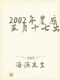 2002年农历五月十七出生的人命运