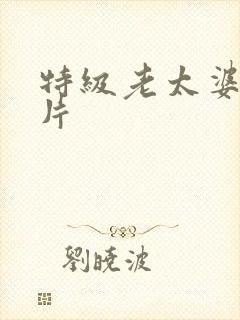 特级老太婆黄色片