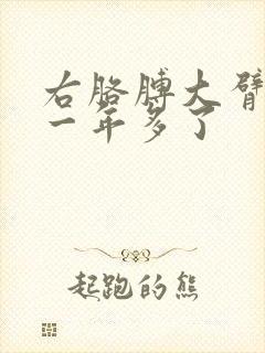 右胳膊大臂疼上一年多了