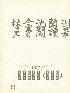 林念沈闻洲全文免费阅读最新章节