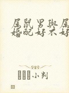 属鼠男与属虎女婚配好不好封面