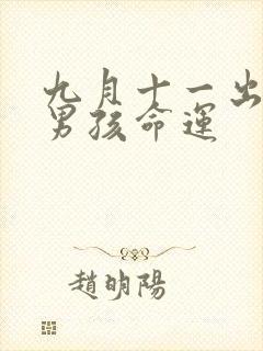 九月十一出生的男孩命运