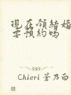 现在领结婚证需要预约吗