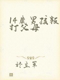 14岁男孩叛逆打父母