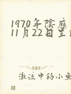 1970年阴历11月22日生的命运