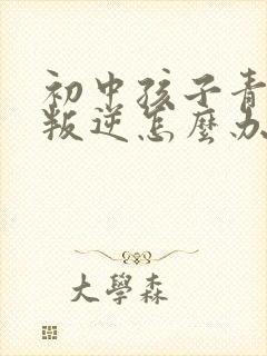 初中孩子青春期叛逆怎么办