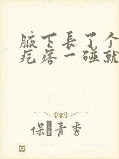 腋下长了个小红疙瘩一碰就疼