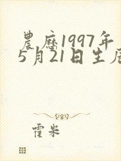 农历1997年5月21日生辰八字封面