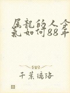 属龙的人今年运气如何88年的龙封面