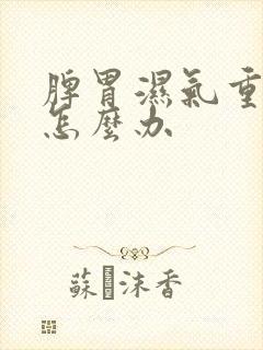 脾胃湿气重湿热怎么办封面