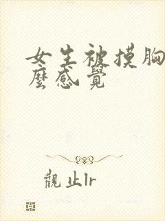 女生被摸胸有什么感觉