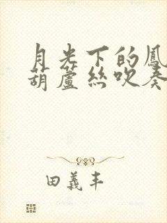 月光下的凤尾竹葫芦丝吹奏c调的歌谱封面