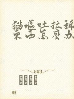 猫呕吐拉稀不吃东西怎么办