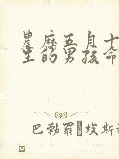 农历五月十五出生的男孩命运如何