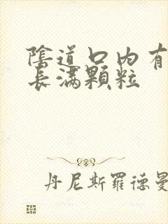 阴道口内有肉球长满颗粒