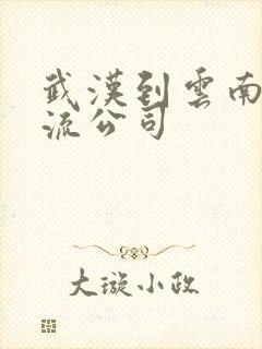 武汉到云南的物流公司