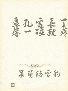 鼻孔处长了个疙瘩一碰就疼